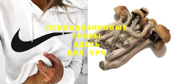 мдпв Киреевск