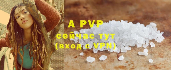 гашиш Касимов